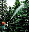 paper birch, tree spraying, chemicals on tree, effects of chemicals, spraying for pests, Apple Valley, Bloomington, Blaine, Burnsville, Brooklyn Park, Brooklyn Center, Belle Plaine, Chaska, Chanhassen, Carver, Cottage Grove, Coon Rapids, Cologne, Delano, Edina, Eden Prairie, Eagan, Elko, Farmington, Faribault, Hastings, Hopkins, Inver Grove Heights, Jordan, Lakeville, Lonsdale,  Maple Grove, Minneapolis, Minnetonka, New Prague, North St. Paul, Orono, Osseo, Plymouth, Prior Lake, Rosemount, Roseville, Savage, St. Louis Park, Saint Louis Park, St. Paul, Saint Paul, Shakopee, Shoreview, South St. Paul, Victoria, Wayzata, West St. Paul, White Bear Lake, Minnesota, Dakota county, Carver County, Hennepin County, Ramsey County, Scott County